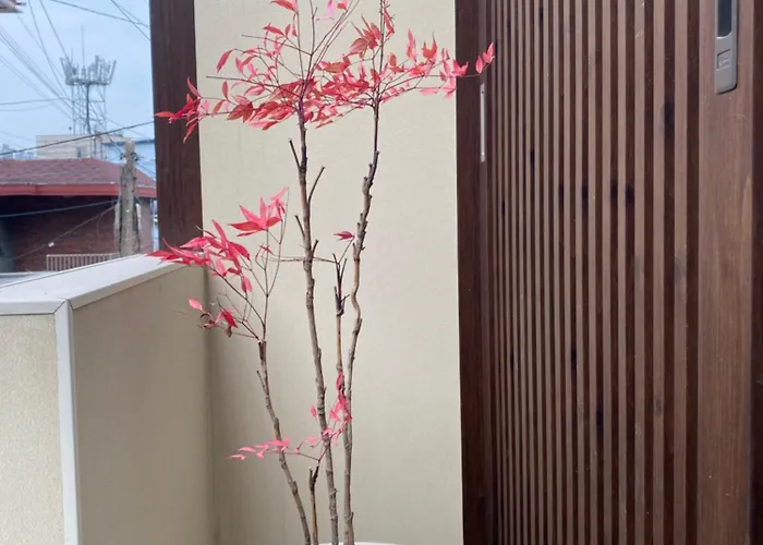 지하철 2분 , 6인3룸4베드 ,독채 , 마당 ,동대문 명동 경복궁 10분 ,성수 홍대 20분